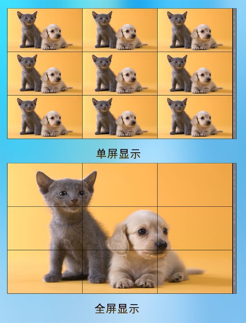 愛采購圖E16.jpg