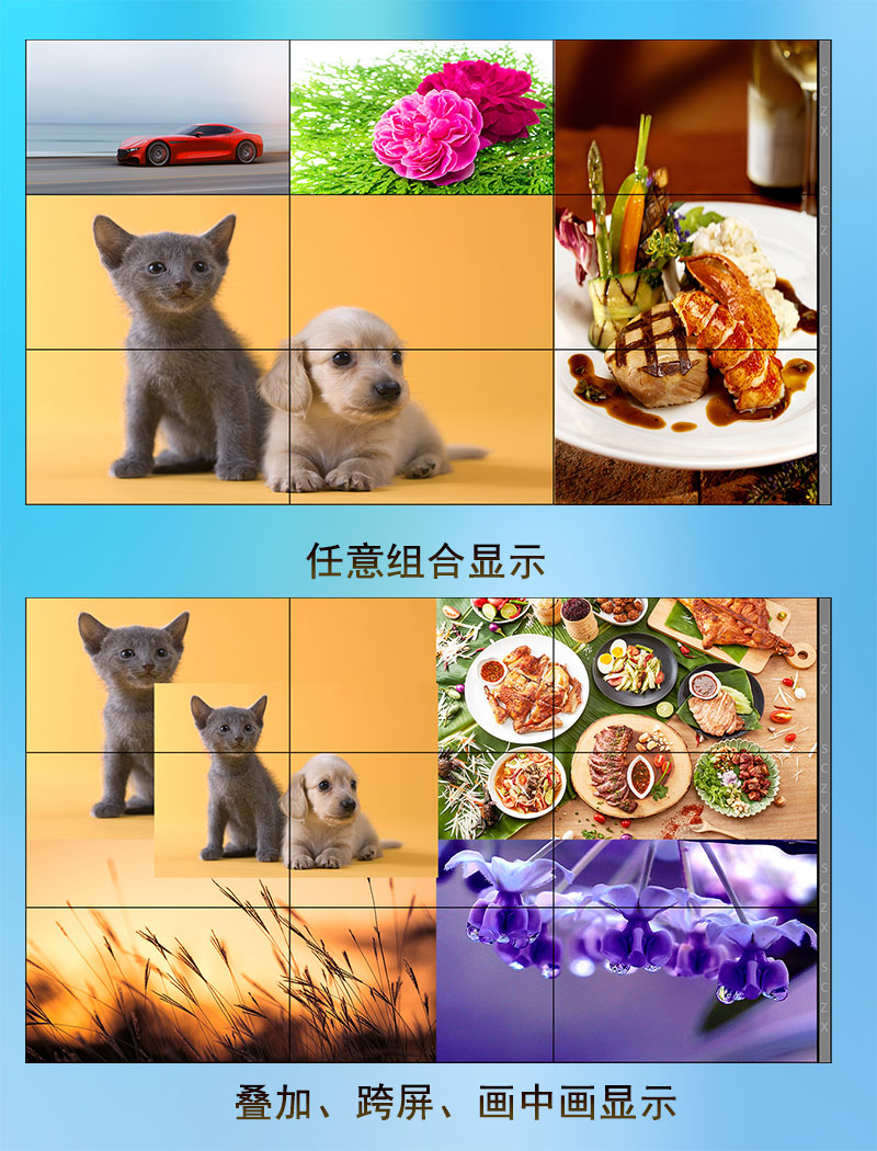 愛采購圖F16.jpg
