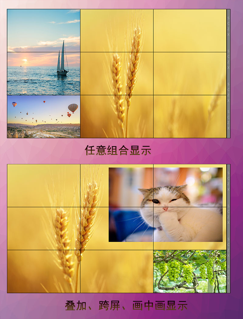 愛采購圖F7.jpg