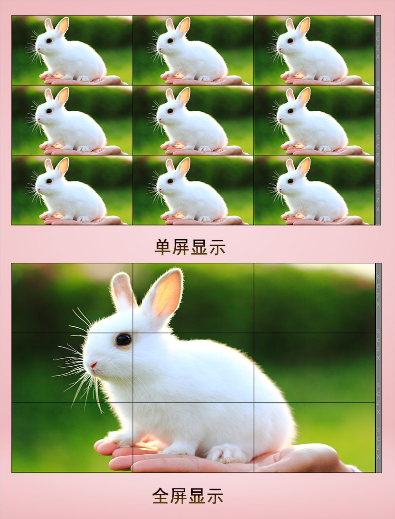 愛采購圖E22.jpg