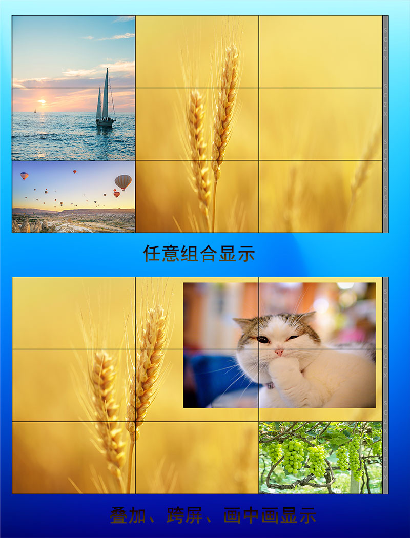 愛采購圖F8.jpg