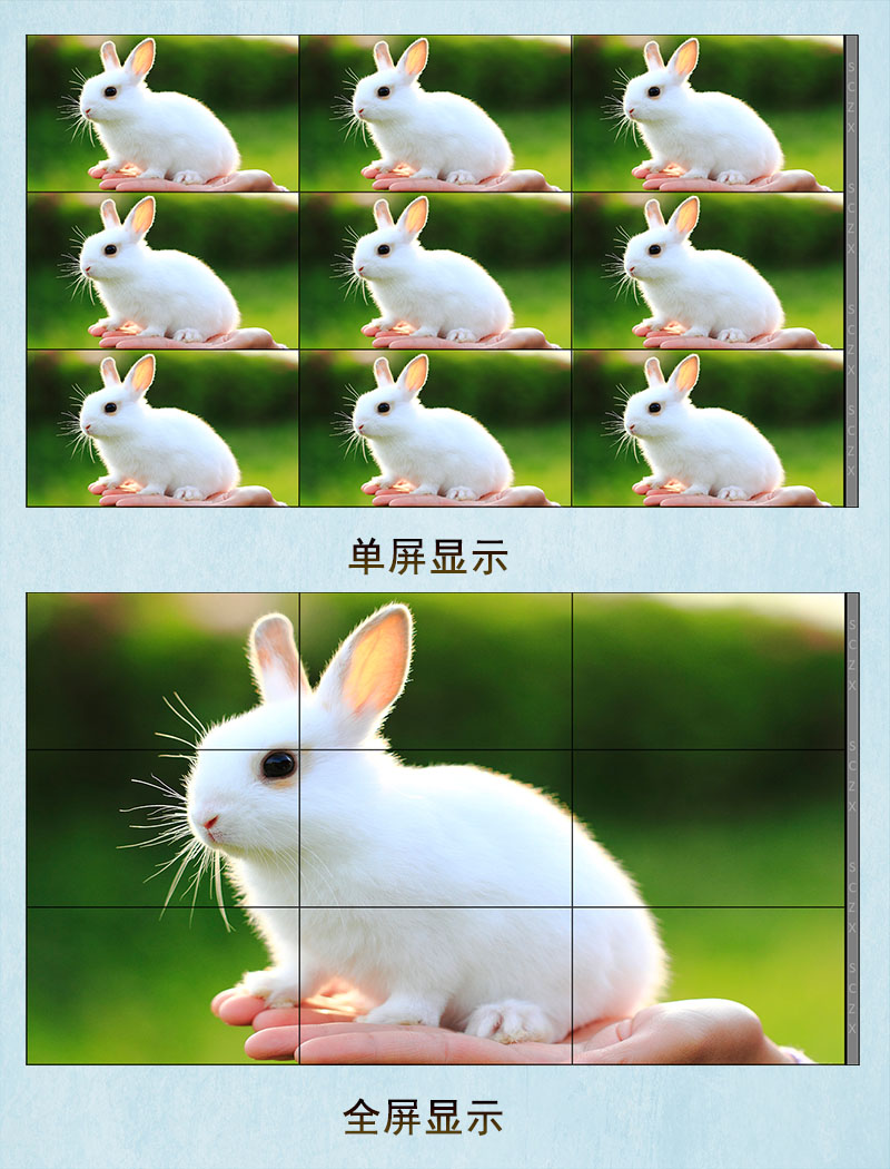 愛采購圖E24.jpg